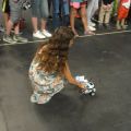 DSC09956.JPG