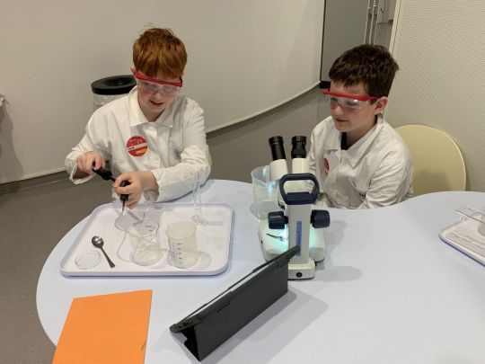 2023 - 6c - Schaum-Lab (1).jpeg