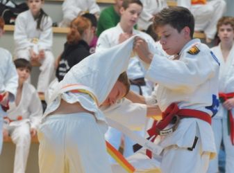 Judo Landesfinale 2013.jpeg