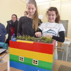 P1020571.JPG