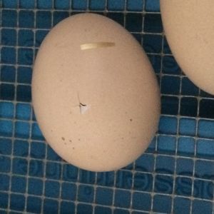 20180502_121330856_iOS.jpg
