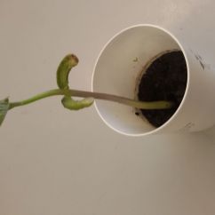 20170913_091701.jpg