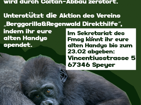 Berggorilla Plakat 2024 2.png