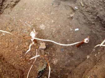 INSTALLATION OF LIGHTNING CONDUCTOR.jpg
