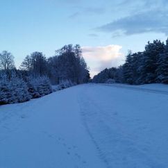 IMG-20180320-WA0000.jpg