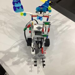 IMG_3583.jpeg