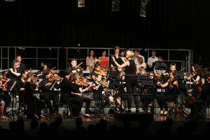 Kammerorchester_unter_Leitung_von_Ingrid_Pohl_1.jpg
