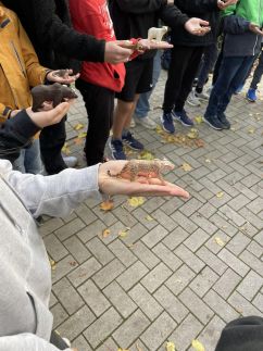 6F131947-3394-4E16-B298-F88157A2E0D2.jpeg