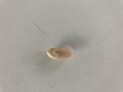 IMG_3402.jpeg