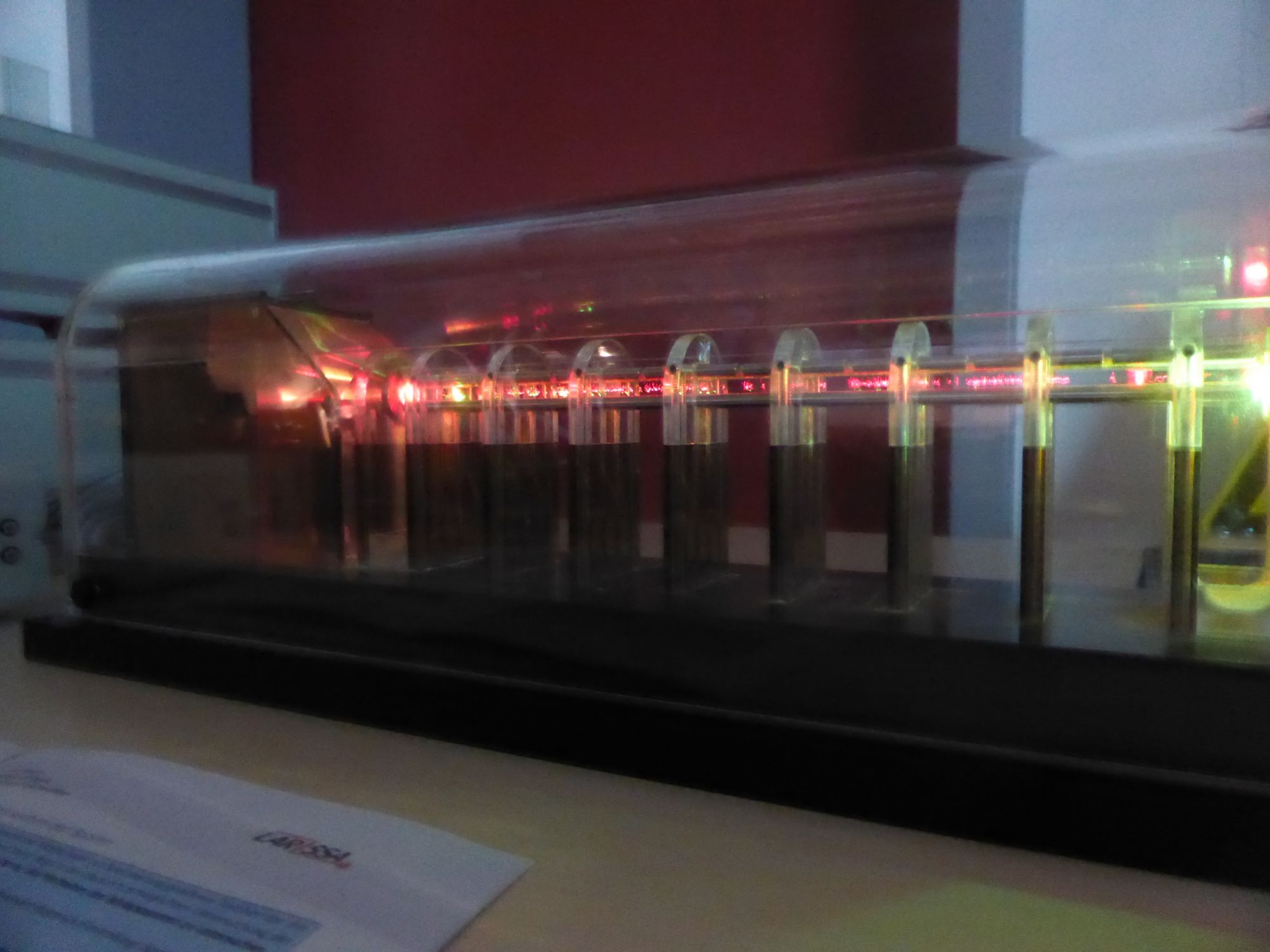P1020601.JPG